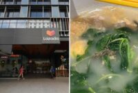 1753117798573-pelanggan-protes-ada-kadal-di-sup-pihak-resto-bilang-itu-ikan-bilis-1753089401704