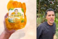 1753377007518-berkat-jualan-manisan-mangga-influencer-ini-bisa-beli-pesawat-pribadi-1753356043964_169