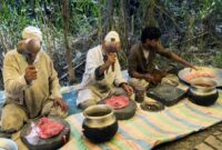 1753463314086-5-ritual-dan-tradisi-makan-nyentrik-di-dunia-ada-dari-toraja-1753423784649