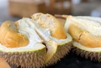 1754564910572-duh-penyanyi-ini-terserang-stroke-gegara-kalap-makan-7-durian-1754549713415