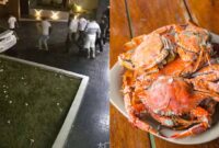 1756208885159-gegara-pesanan-kepitingnya-dimakan-tetangga-pemilik-rumah-ini-ngamuk-1756205565902