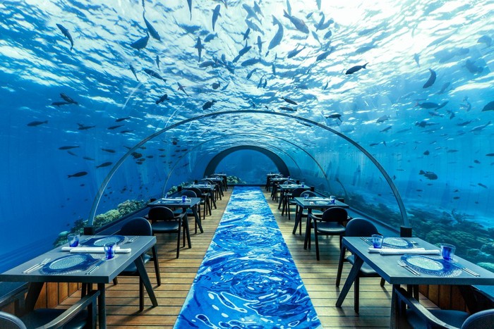 1756553938535-makan-di-bawah-laut-10-restoran-ini-tawarkan-pemandangan-mempesona-1756294495604