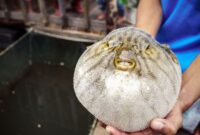 1758433487935-a66200de-f642-416c-bda0-3cdf53bb28c6