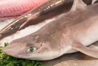 1758866046459-f1d85b1d-67bb-4490-899b-6111af483b01_169