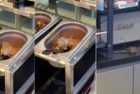 1760463792591-duh-tikus-ini-asyik-berenang-di-wadah-saus-restoran-langsung-ditutup-1760429317332