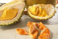 1760701321118-kembaran-musang-king-ini-durian-musang-queen-yang-tak-kalah-enak-1753423263789