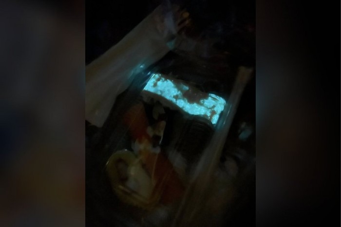 1761738742800-viral-sushi-glow-in-the-dark-di-thailand-ternyata-ini-penyebabnya-1761635401604