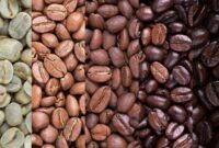 1761933202264-ilustrasi-tingkat-roasting-biji-kopi-1747211128276_169