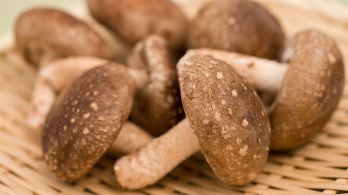 1762408774416-f15a0644-20a4-4a9b-a60b-c8b4a0d96f95_169