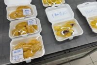 1763206901769-durian-menghitam-1763184807153_43