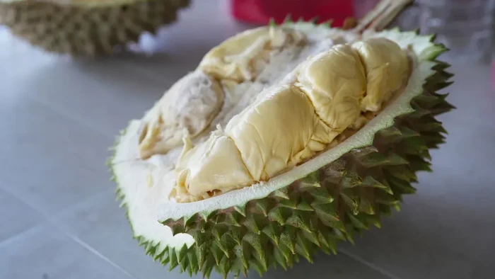 1763335718958-10-durian-terbaik-dengan-tekstur-creamy-dan-rasa-unik-1760852085780_169