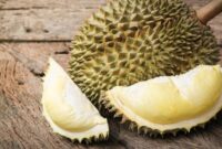 1763380474920-durian-1_169
