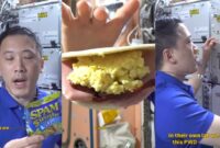 1764155216317-astronot-masak-1764137736769