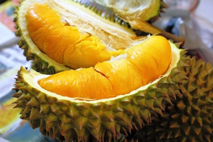 1764263291280-durian-unggulan-sumatera-1