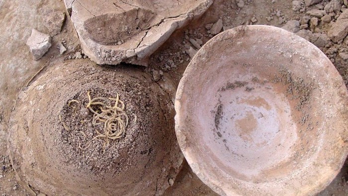 1764954573337-penemuan-fosil-mangkuk-4000-tahun-1764923162065_169