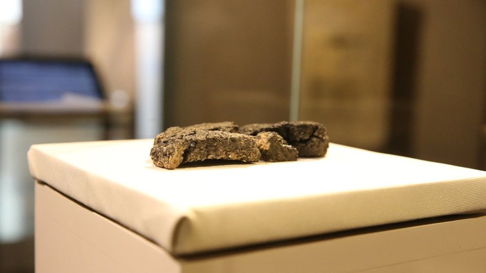 1765105702727-penemuan-roti-5000-tahun-ini-ungkap-pola-makan-manusia-purba-1765004326766