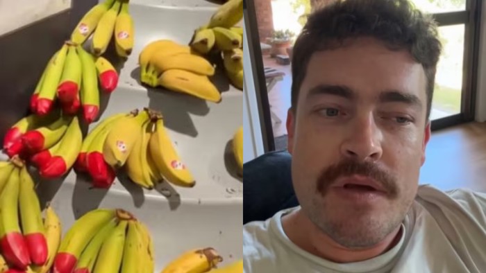 1765213588426-misteri-pisang-dengan-ujung-warna-merah-di-australia-bikin-heboh-turis-1765184767514