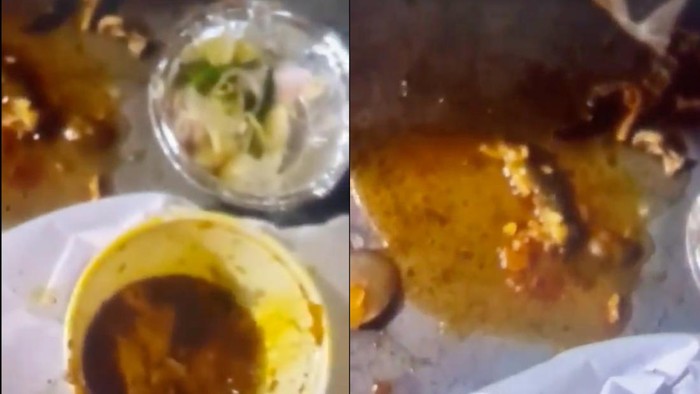 1765559304929-kadal-mati-ikut-tersaji-di-kari-ayam-pelanggan-sampai-pingsan-1765535323739_169