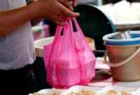 1765688748379-turis-china-ini-kecewa-dengan-porsi-dan-kemasan-makanan-di-malaysia-1_169