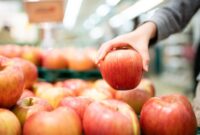 1765948257256-ilustrasi-buah-apel