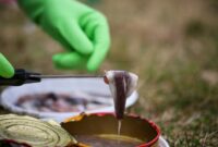 1765969579054-6-makanan-paling-bau-di-dunia-mirip-bangkai-hingga-kaus-kaki-kotor-1765955994567