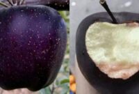 1765969681986-black-diamond-apple-1765873888957_169