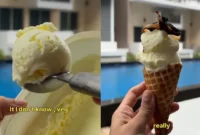 1767114578016-es-krim-dicampur-nasi-biryani-1767074980850