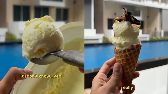 1767114578016-es-krim-dicampur-nasi-biryani-1767074980850