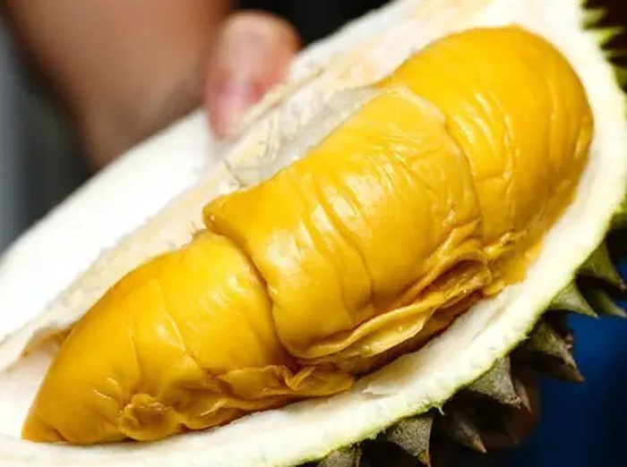 1767870426208-duh-pria-ini-santai-curi-durian-musang-king-berkali-kali-di-siang-hari-1753689235543