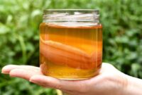 1767999913601-fakta-teh-kombucha_169